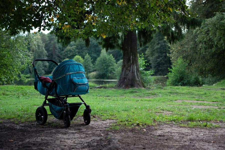 An empty teal baby stroller parked under a large tree in a park